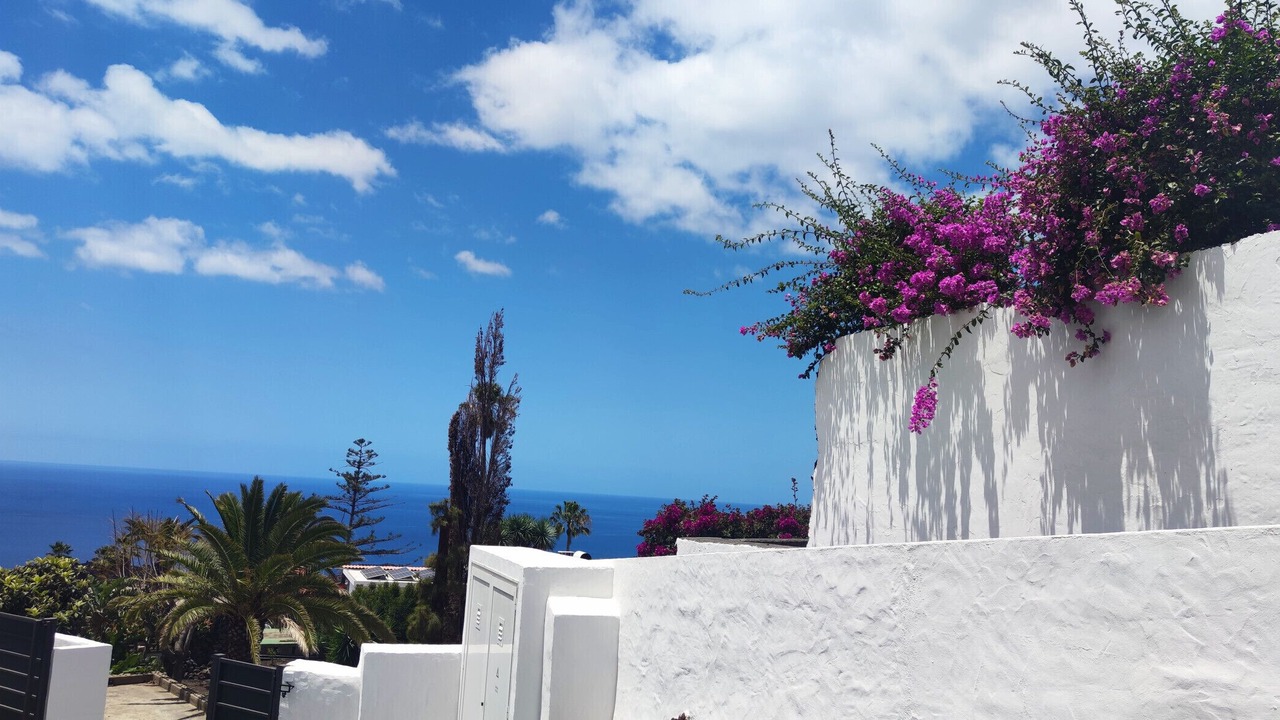 Photo of Outdoor in Tazacorte