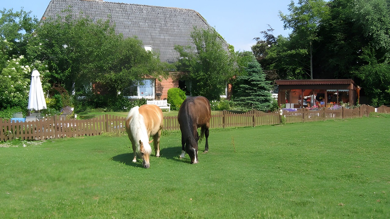 Photo of Outdoor in Schulp