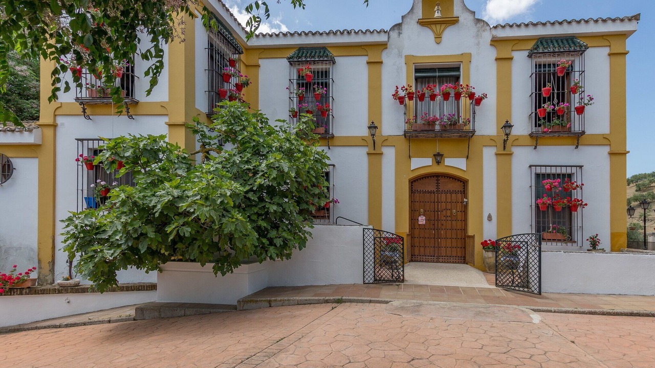 Photo of Outdoor in Priego de Cordoba