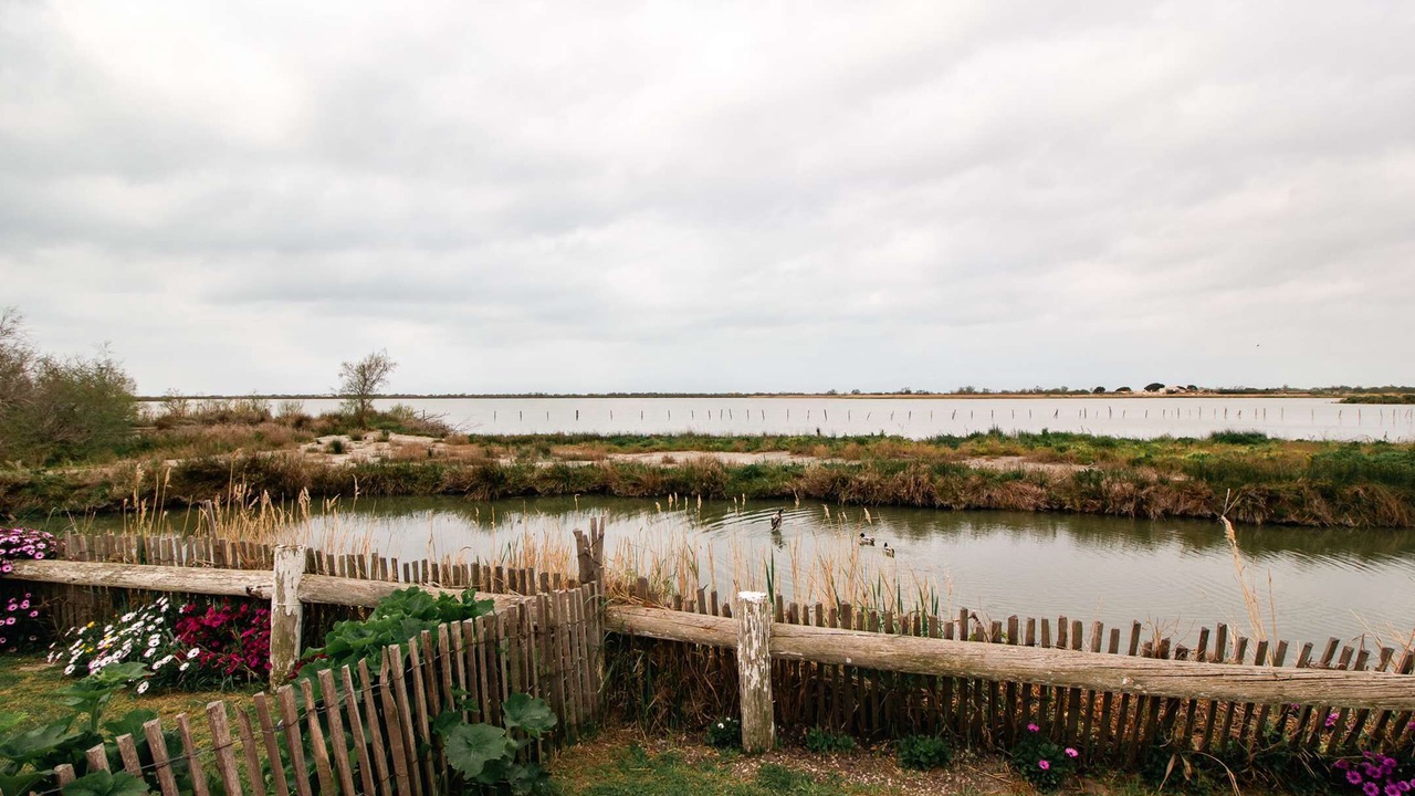 Photo of Others in Saintes-Maries-de-la-Mer
