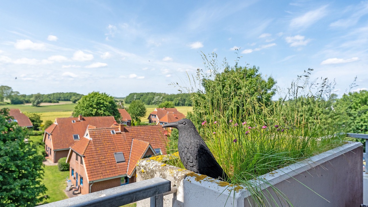 Photo of Outdoor in Dahme