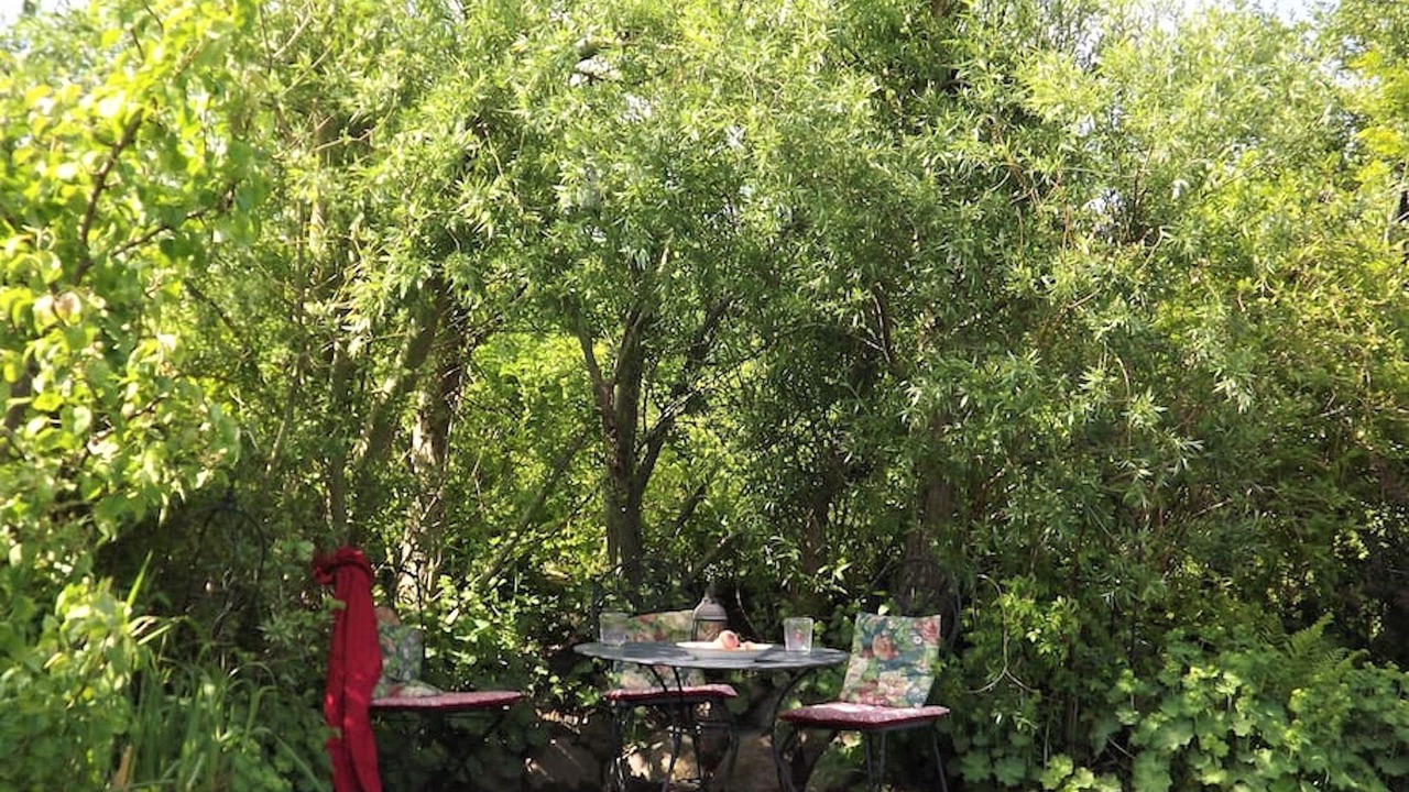 Photo of Outdoor in Thesenvitz