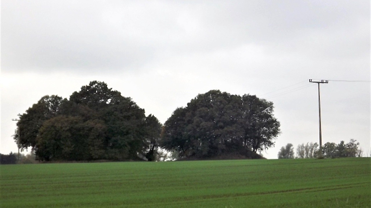 Photo of Others in Thesenvitz