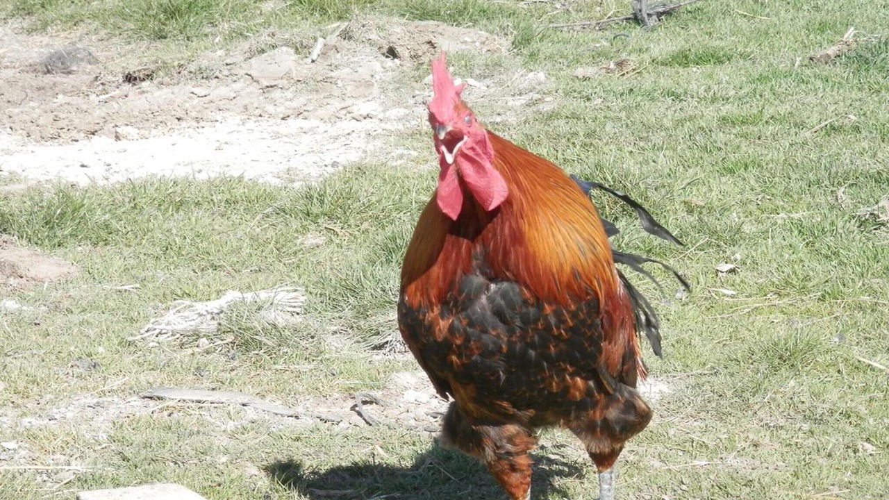 Photo of Others in Bernuy-Salinero