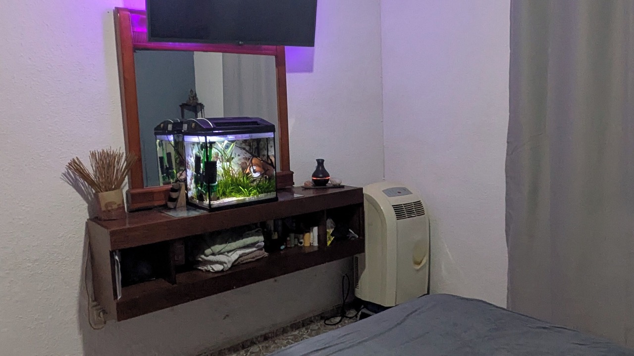 Photo of Bedroom in Giralda Sur