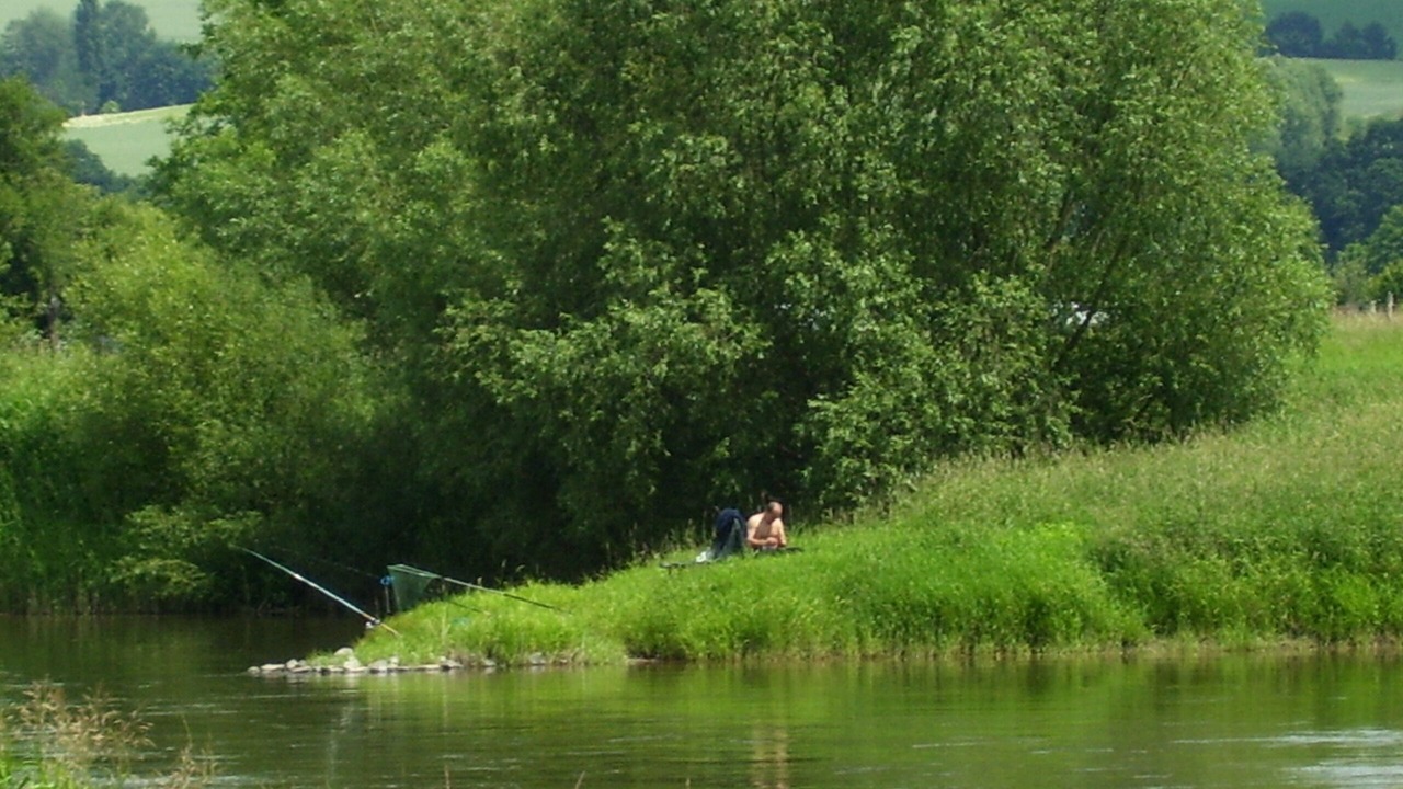 Photo of Others in Beverungen