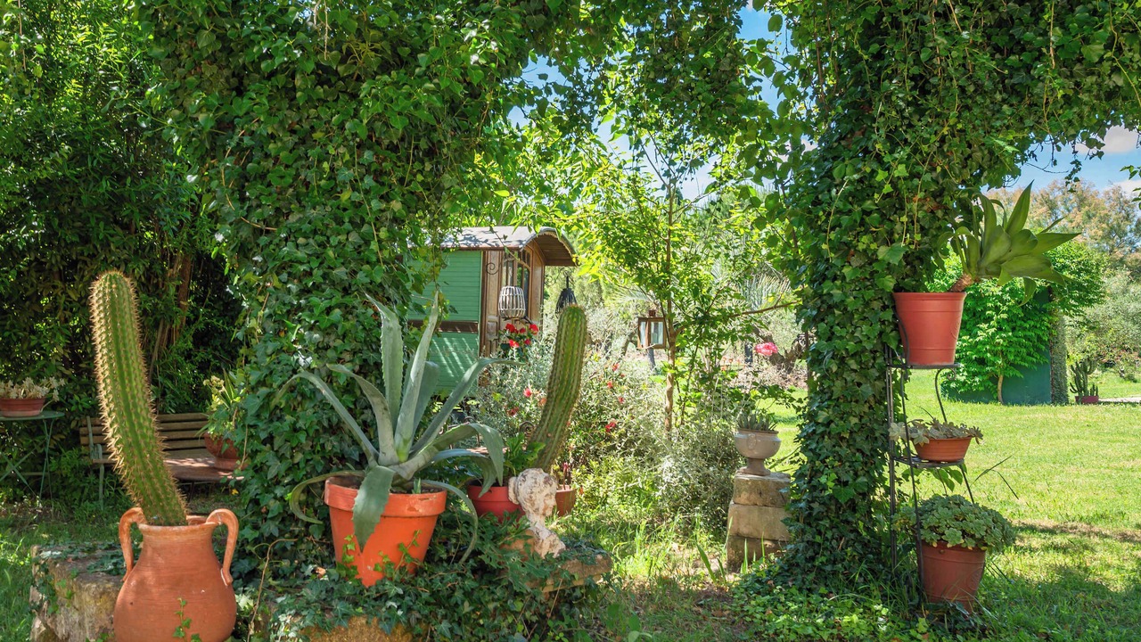 Photo of Outdoor in Arles