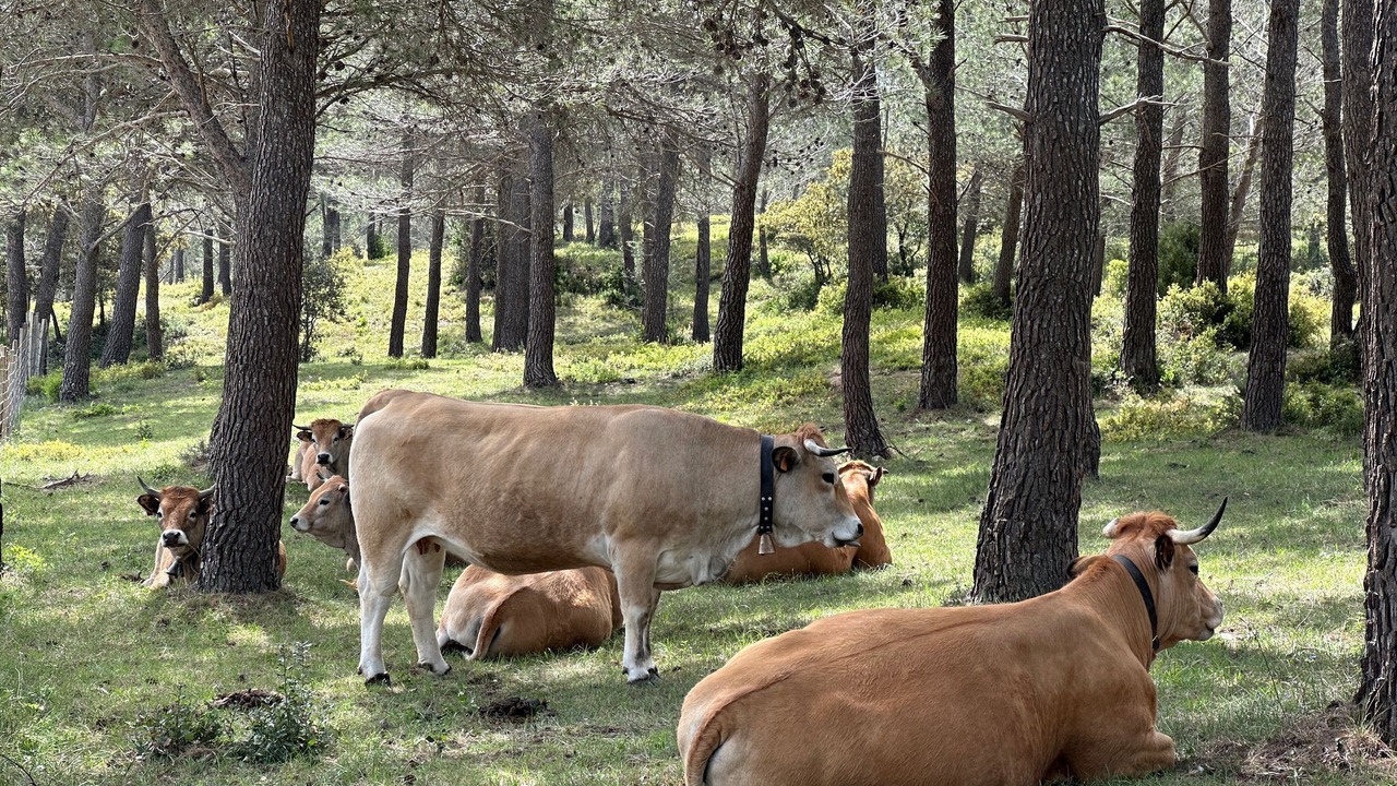 Photo of Others in Eyguieres