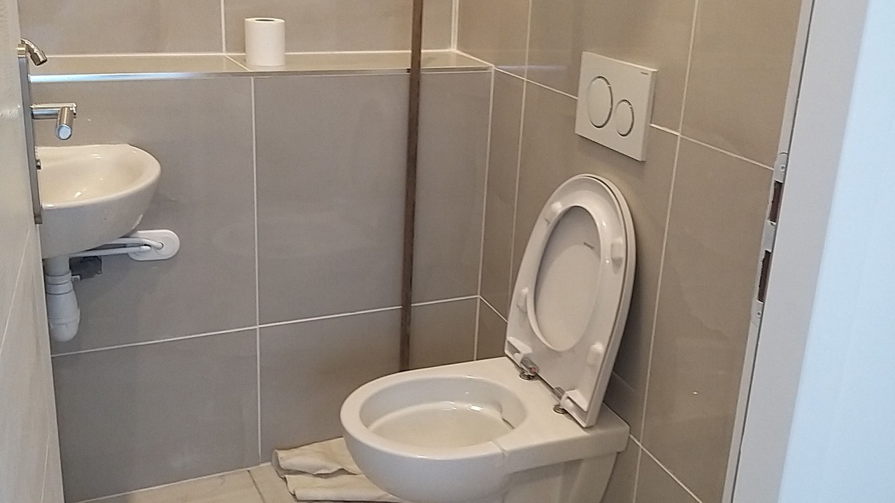 Photo of Bathroom in Oyonnax
