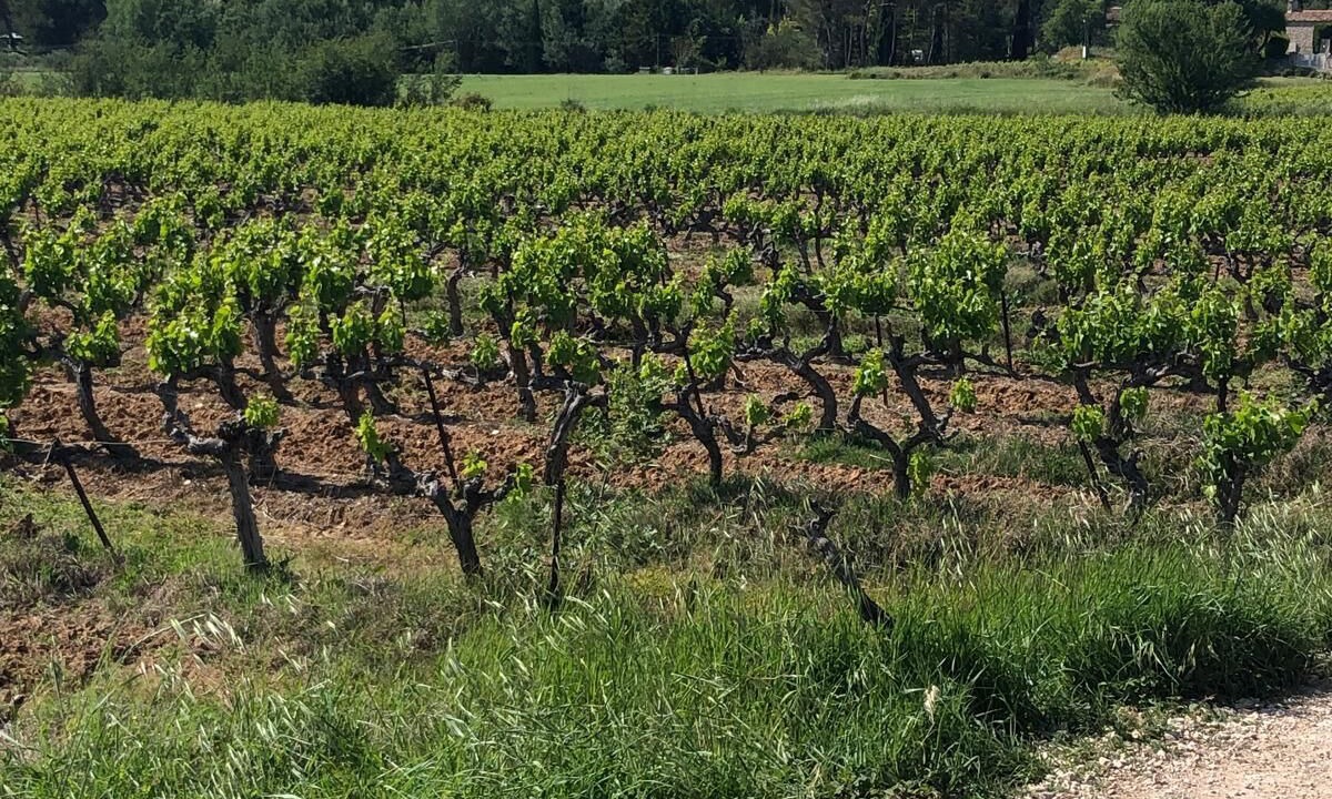 Photo of Others in Rousset
