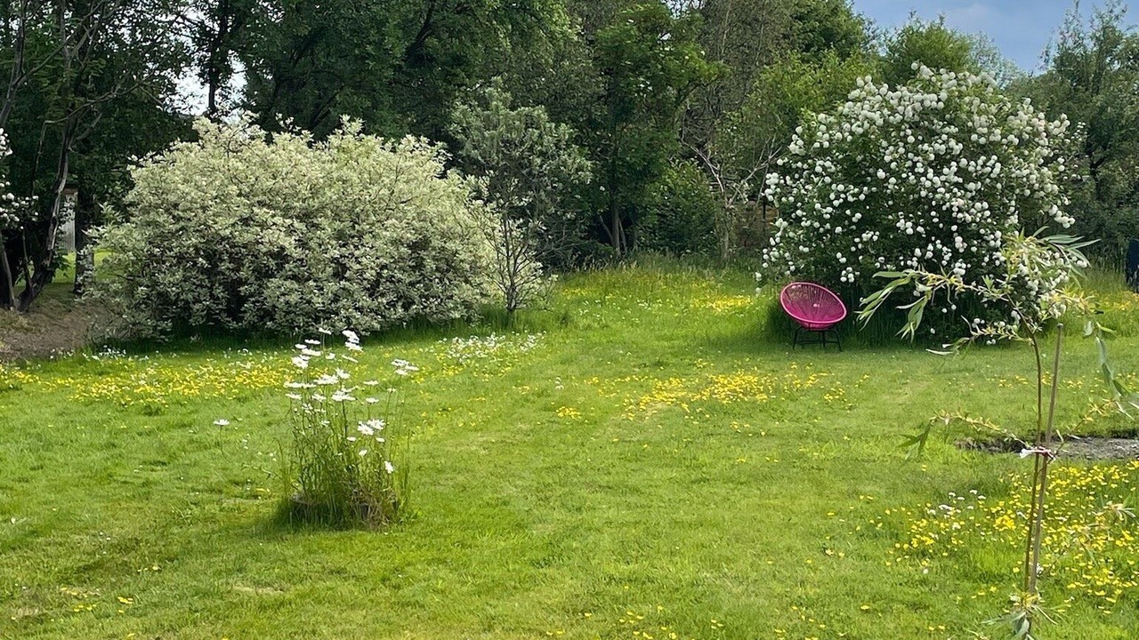 Photo of Outdoor in Wesselburen
