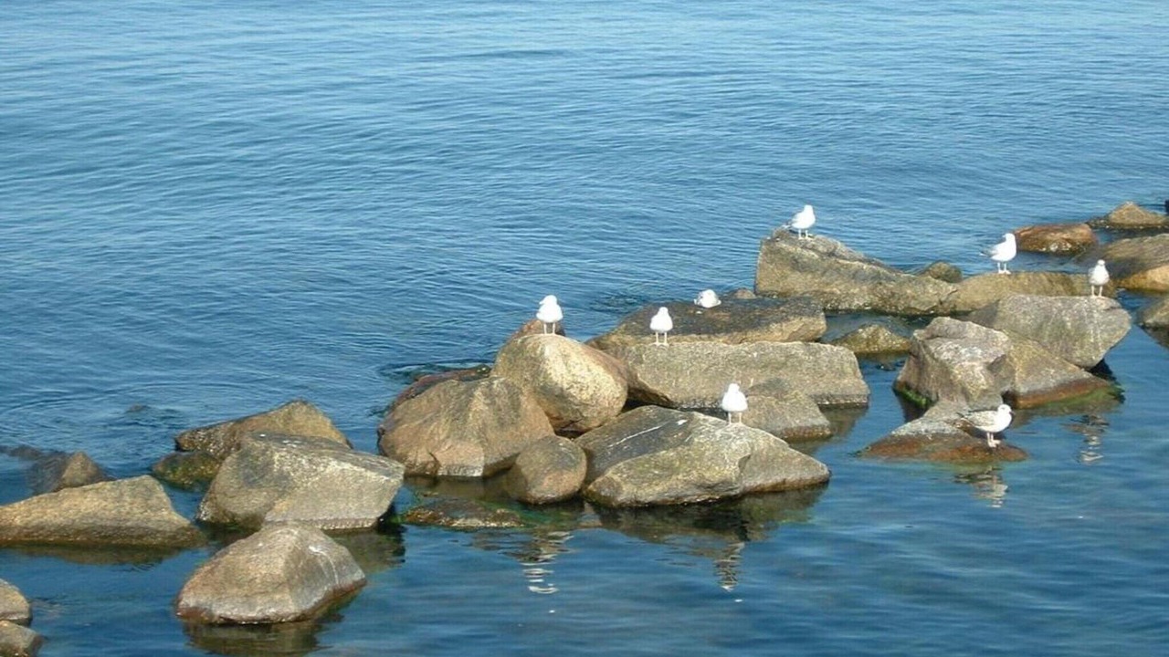Photo of Others in Peenemuende