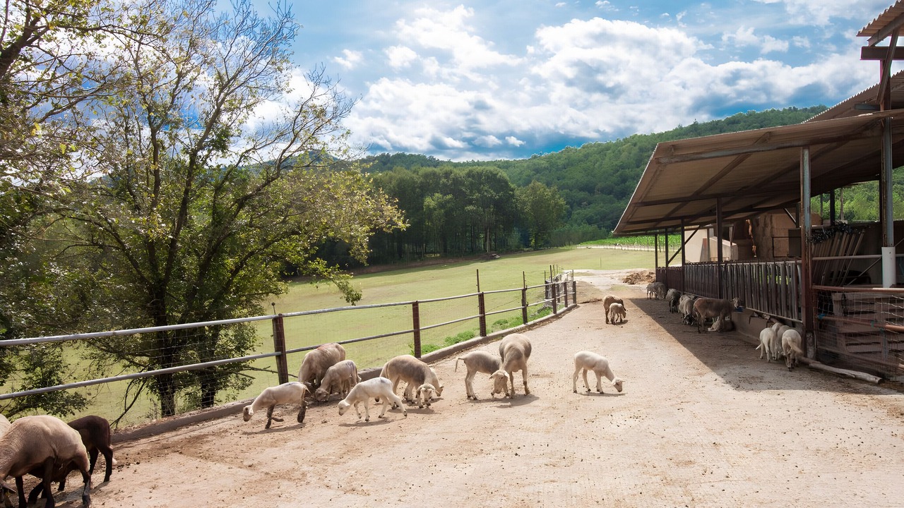 Photo of Others in La Vall de Bianya