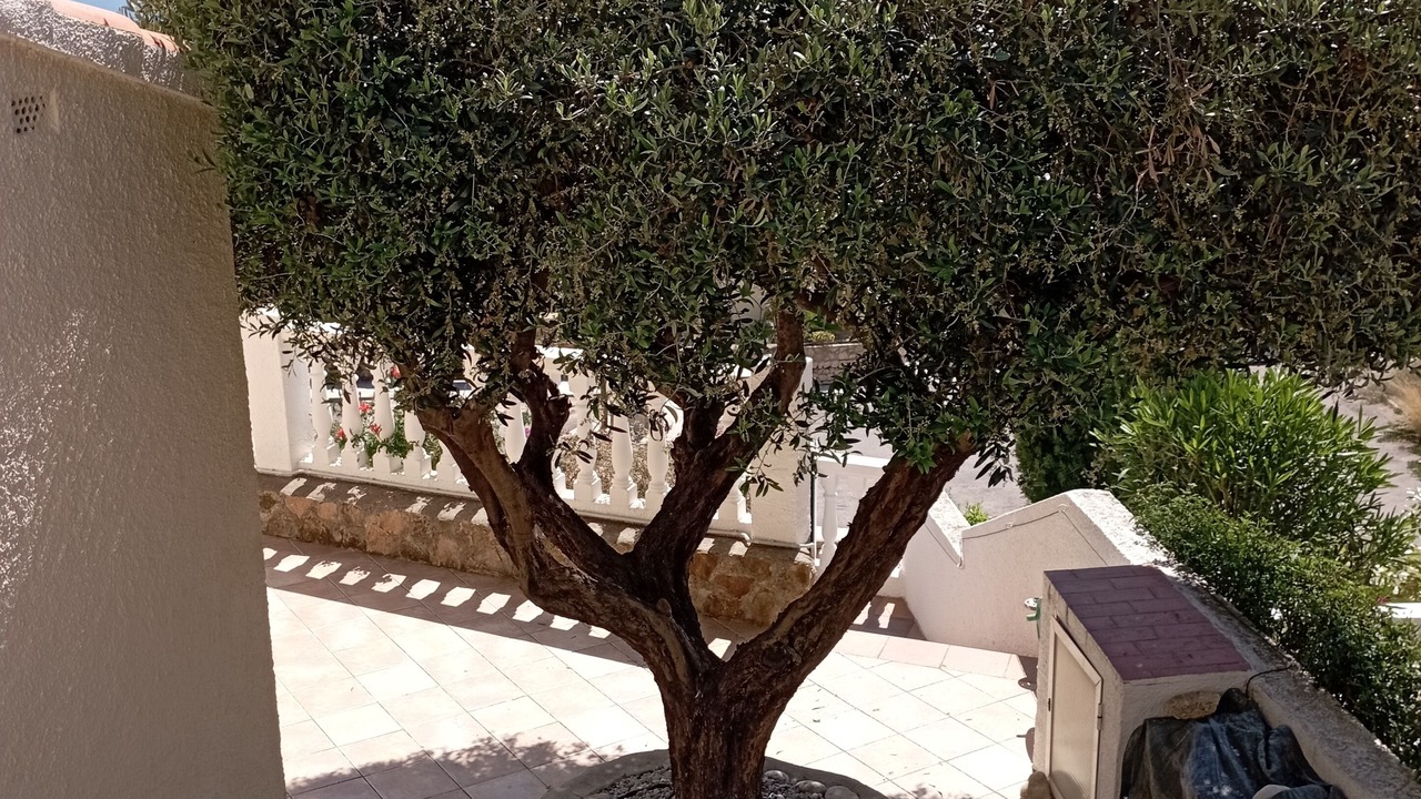 Photo of Outdoor in Alcossebre