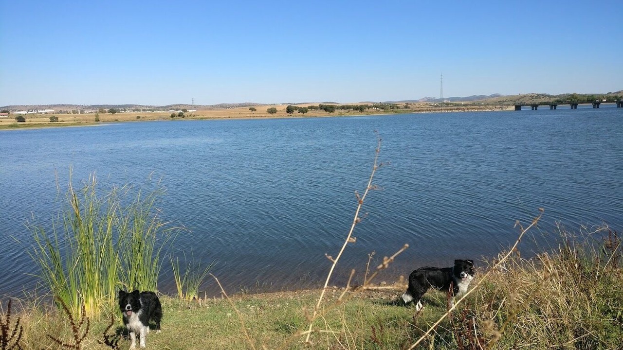 Photo of Others in Penarroya-Pueblonuevo