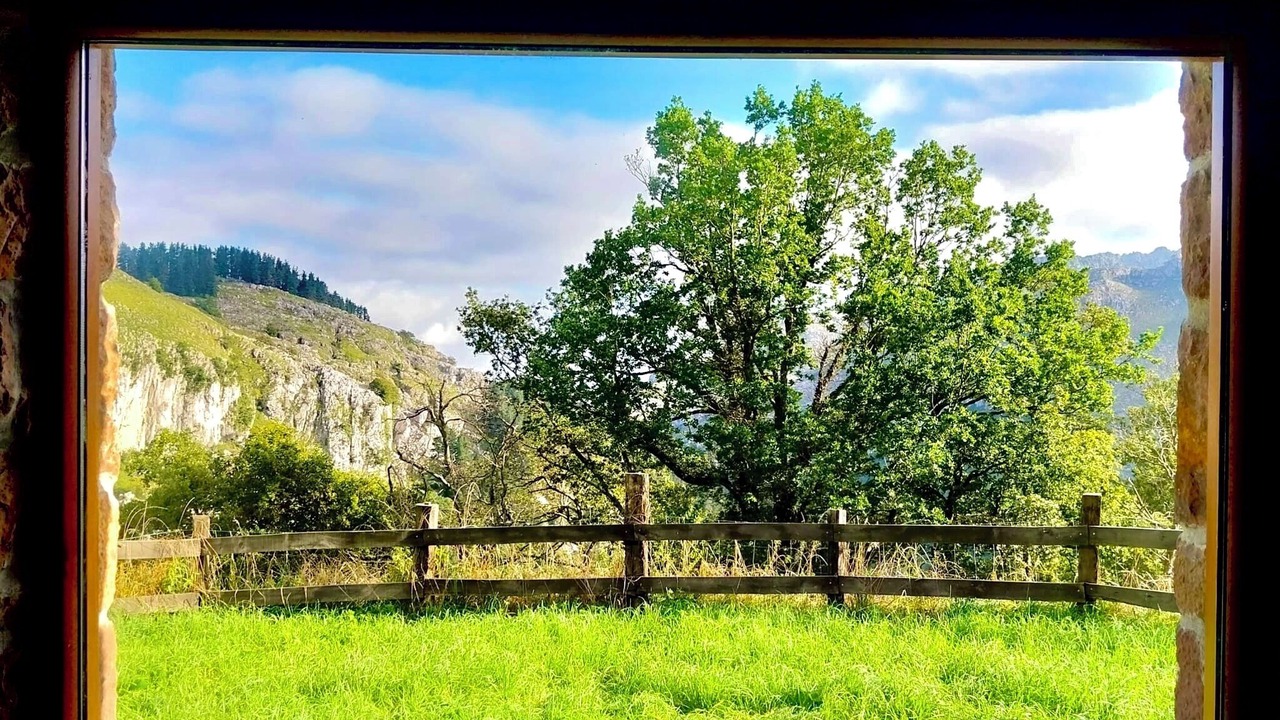 Photo of Others in San Roque de Riomiera