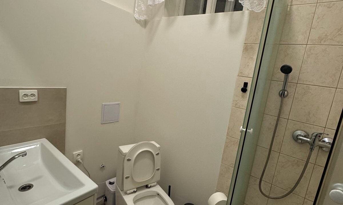 Photo of Bathroom in Holesovice