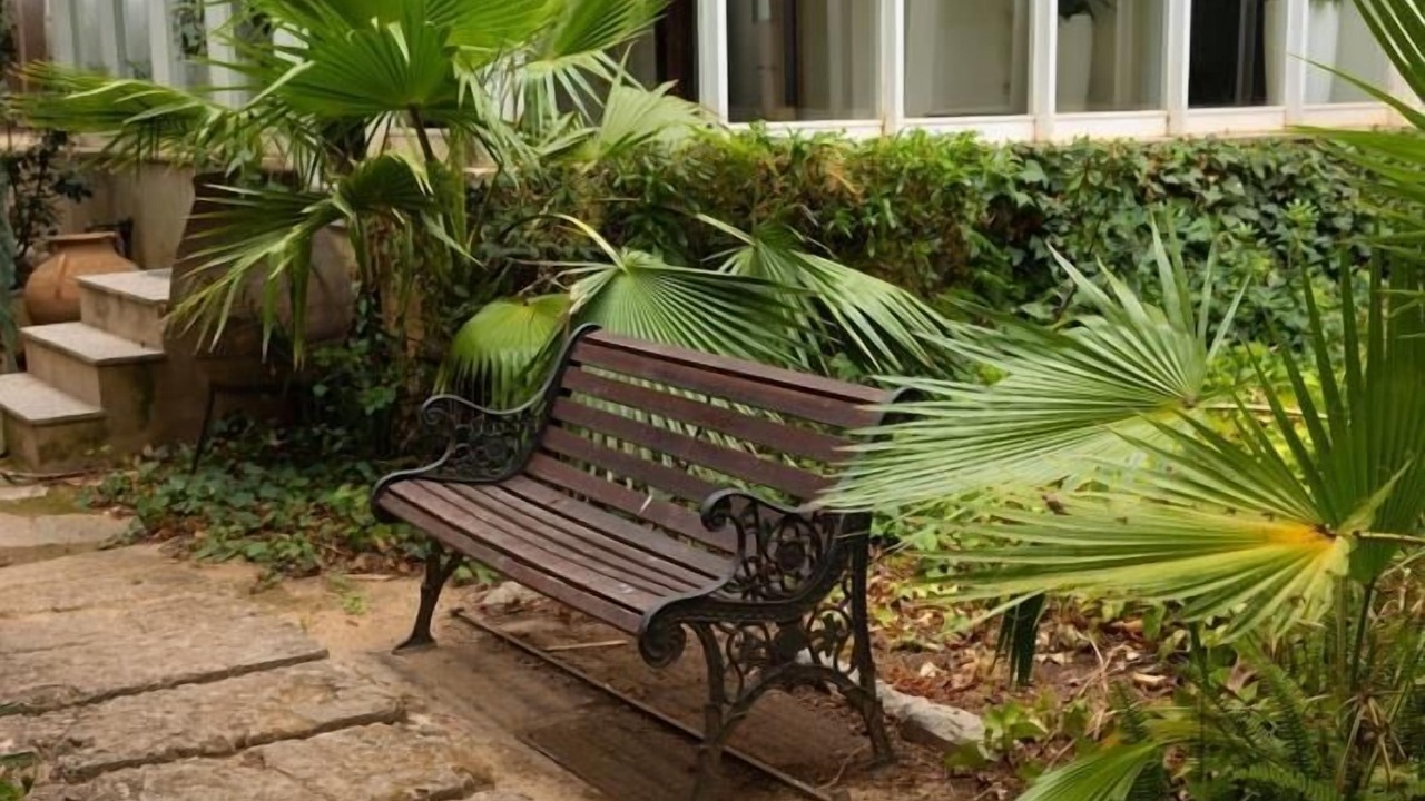 Photo of Patio Balcony in Palma de Mallorca