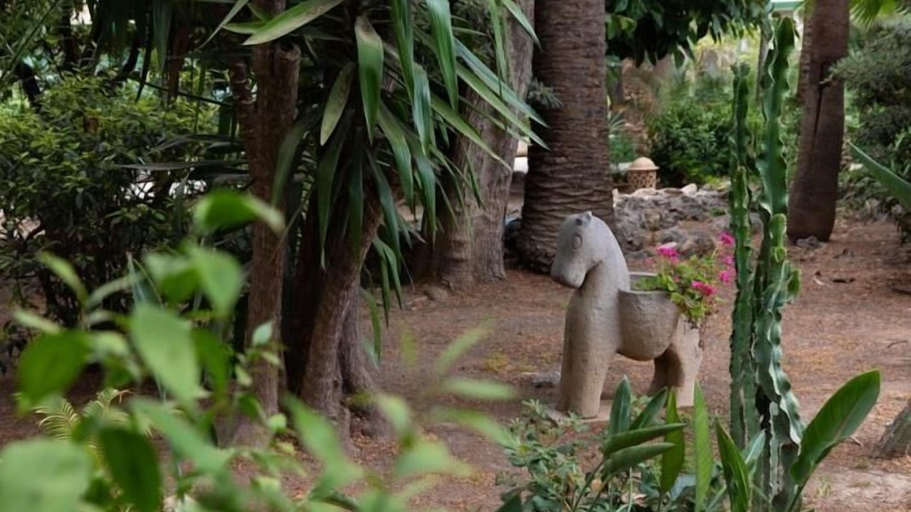 Photo of Outdoor in Palma de Mallorca