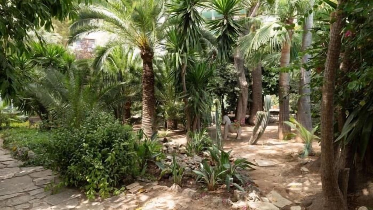 Photo of Outdoor in Palma de Mallorca