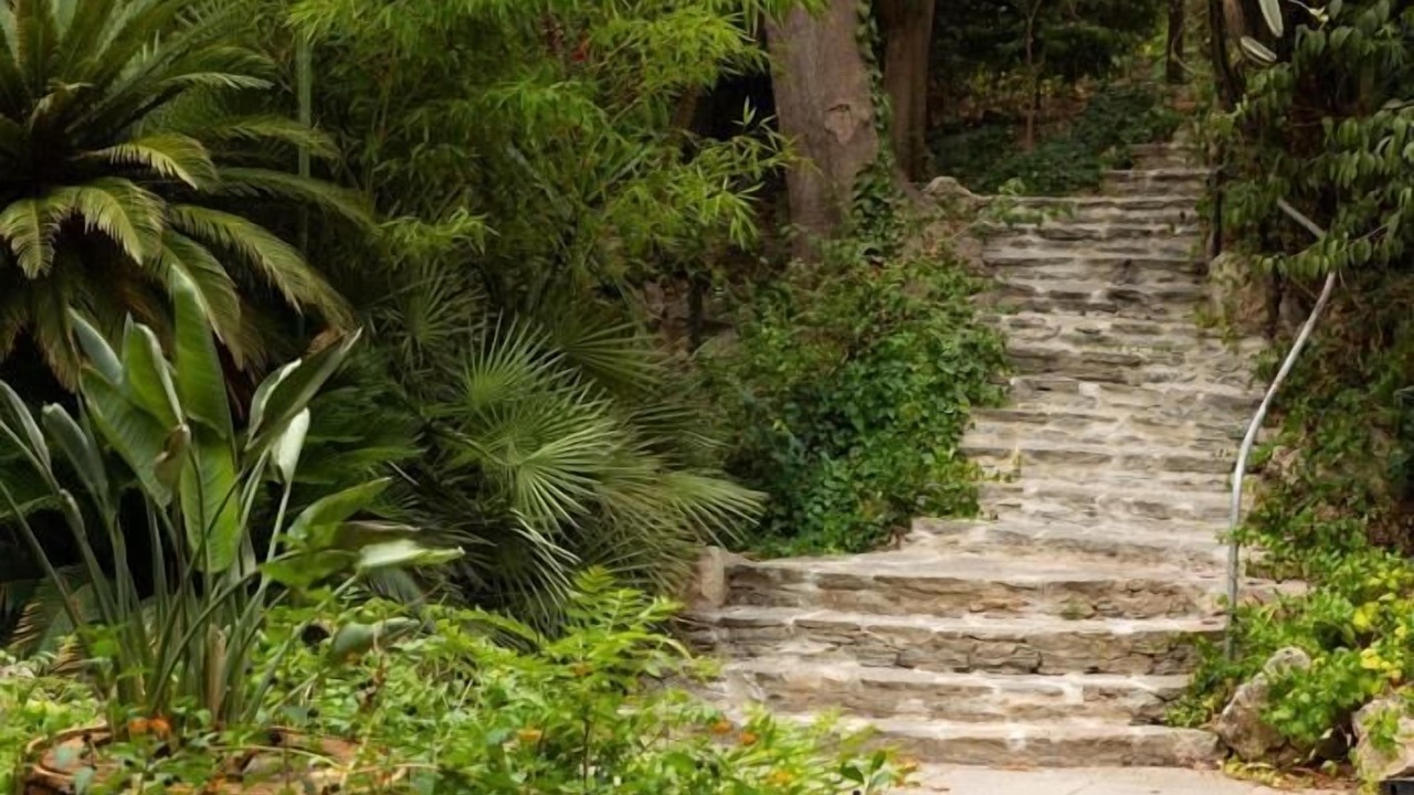 Photo of Outdoor in Palma de Mallorca