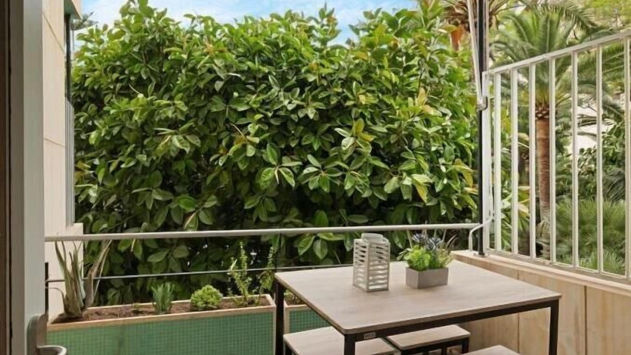 Photo of Outdoor in Palma de Mallorca