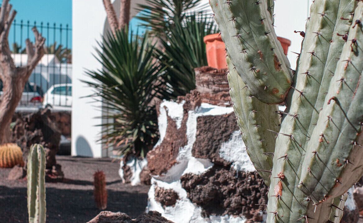 Photo of Outdoor in Matagorda