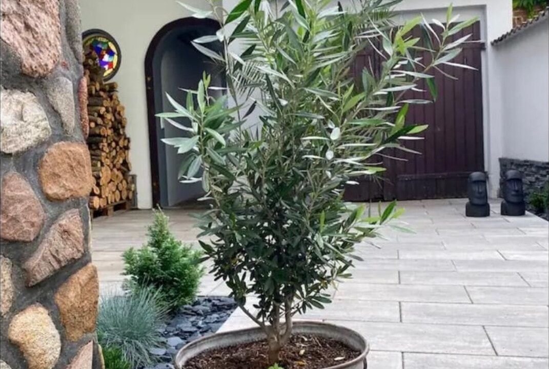 Photo of Outdoor in Zorbig