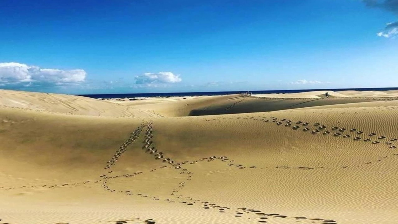 Photo of Others in Costa Meloneras