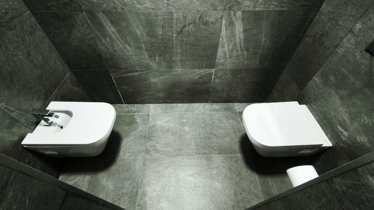 Photo of Bathroom in Vallromanes