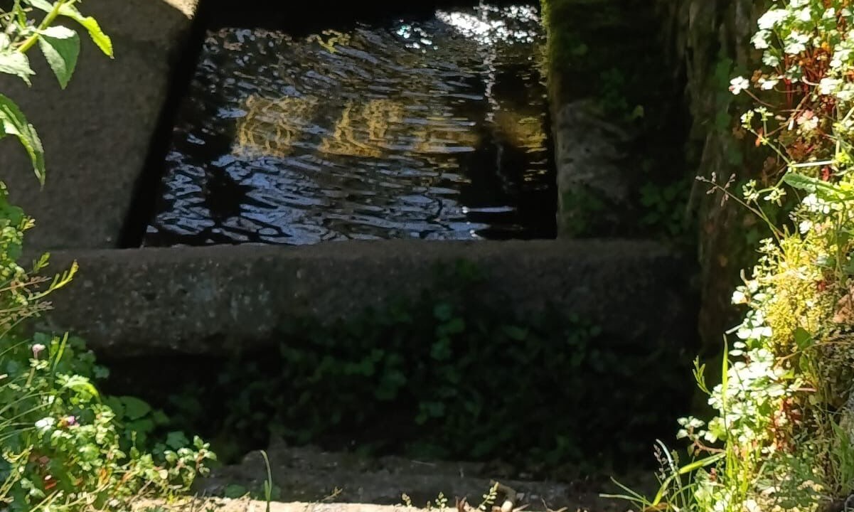 Photo of Outdoor in Castrelo de Mino