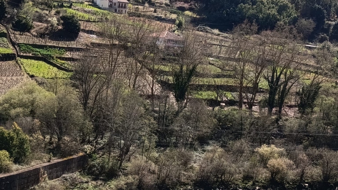 Photo of Others in Castrelo de Mino