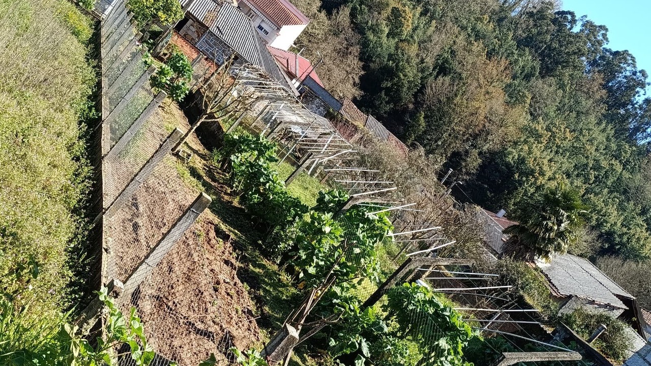 Photo of Outdoor in Castrelo de Mino