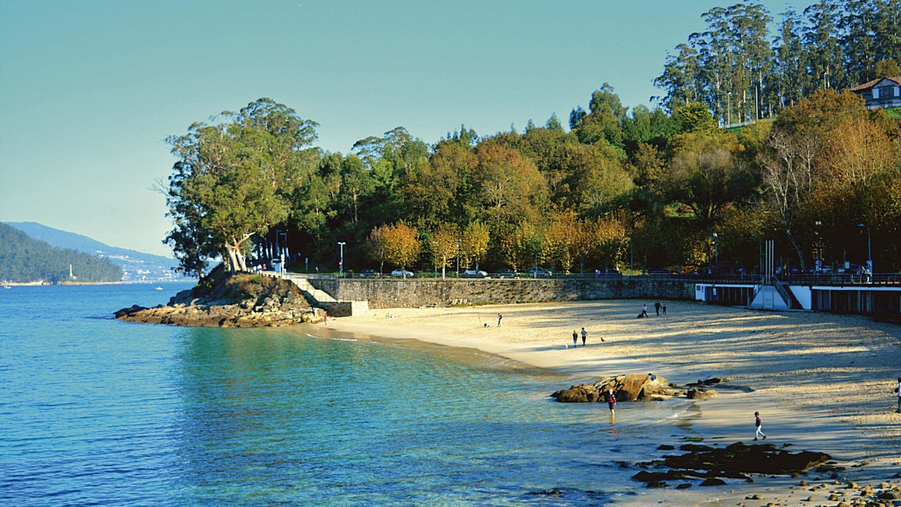 Photo of Others in Marin