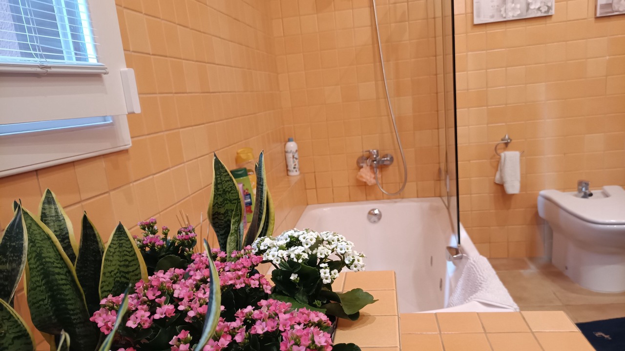 Photo of Bathroom in Galdar
