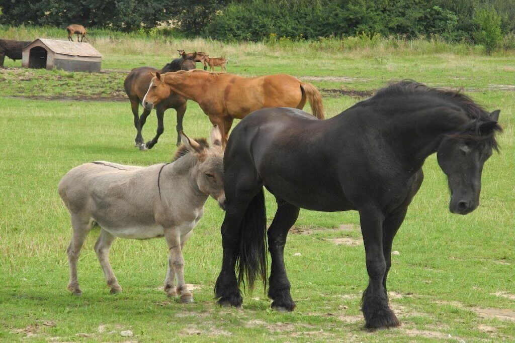 Photo of Others in Wuthenow
