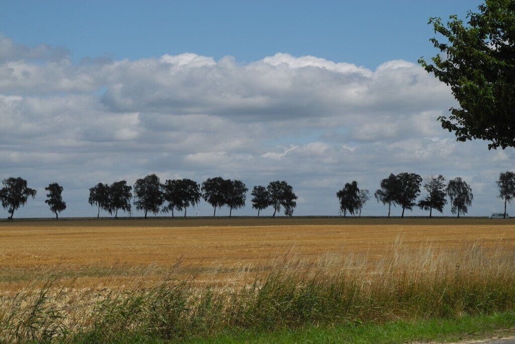 Photo of Others in Wuthenow