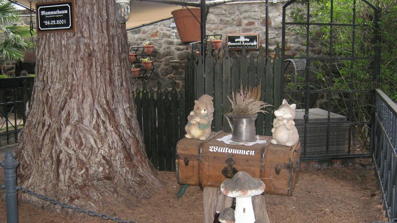 Photo of Outdoor in Magdeburg