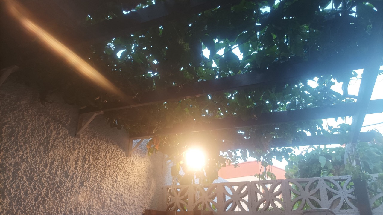 Photo of Outdoor in Santa Cruz de Tenerife
