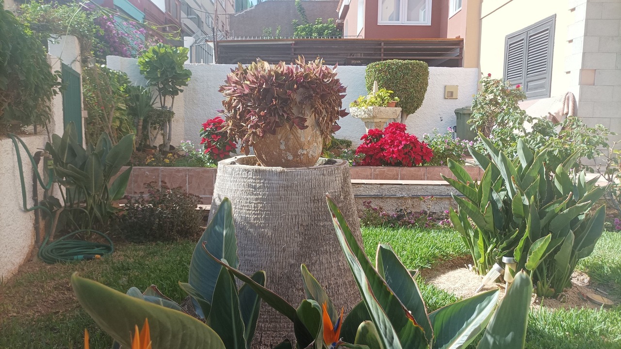 Photo of Outdoor in Santa Cruz de Tenerife