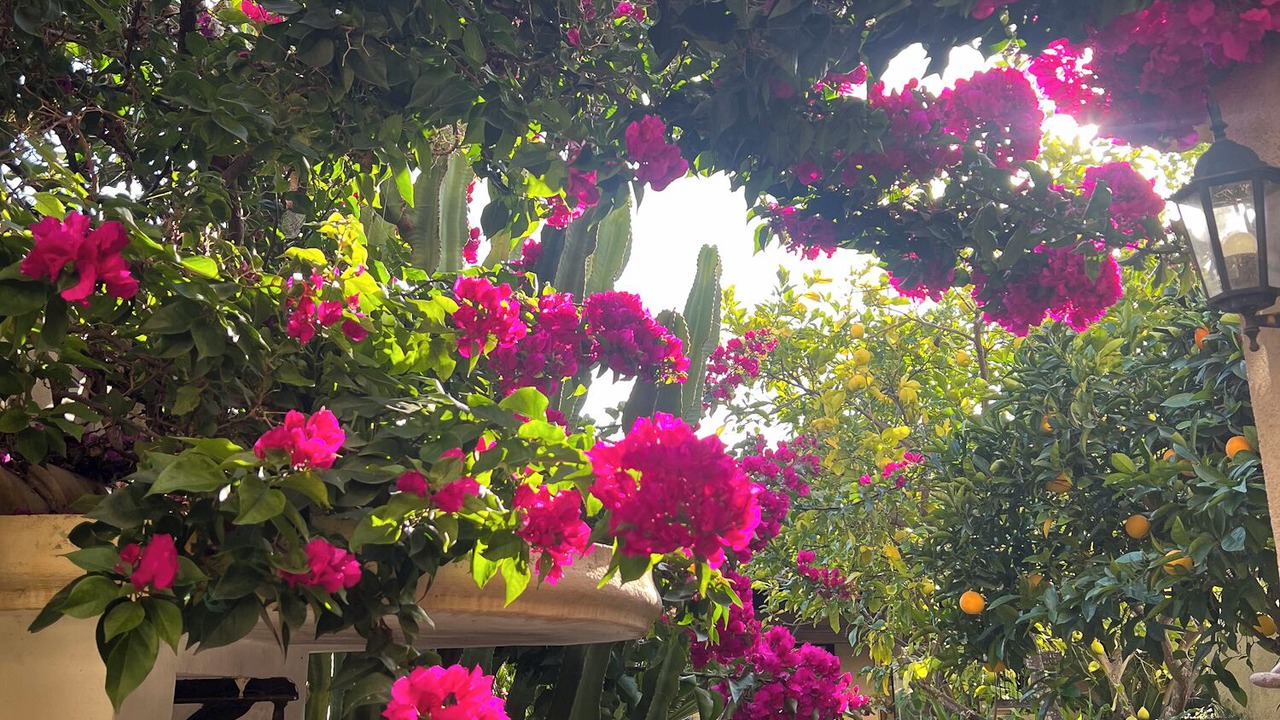 Photo of Outdoor in Arta
