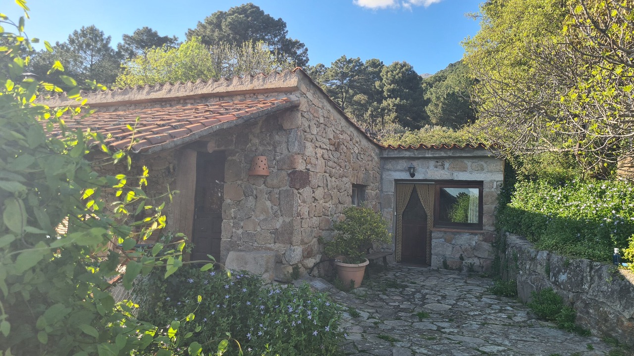 Photo of Outdoor in Piedralaves