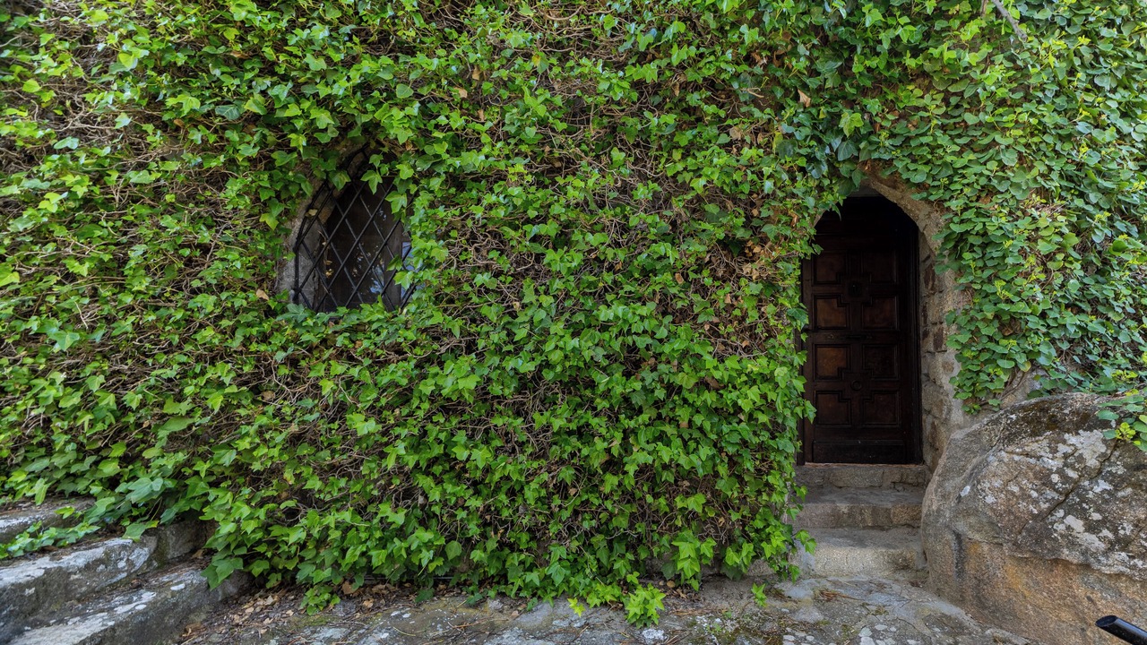 Photo of Outdoor in El Barraco
