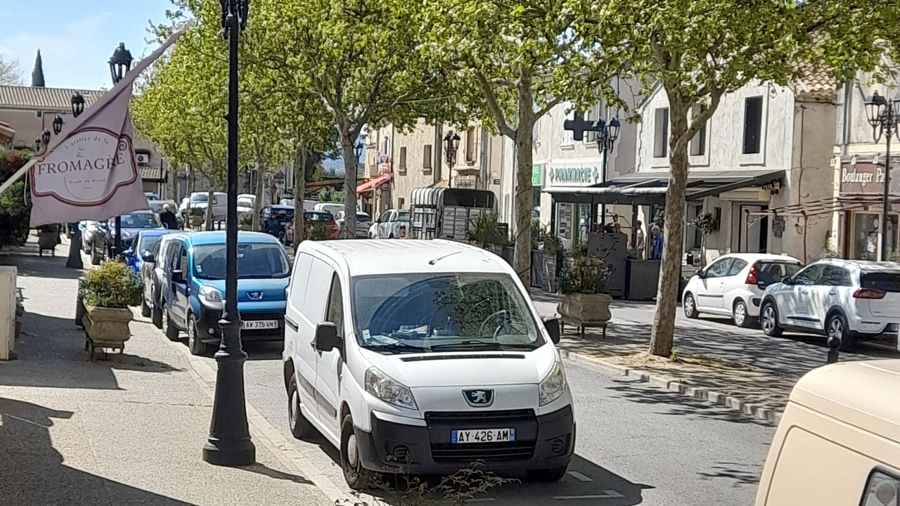 Photo of Others in Molleges
