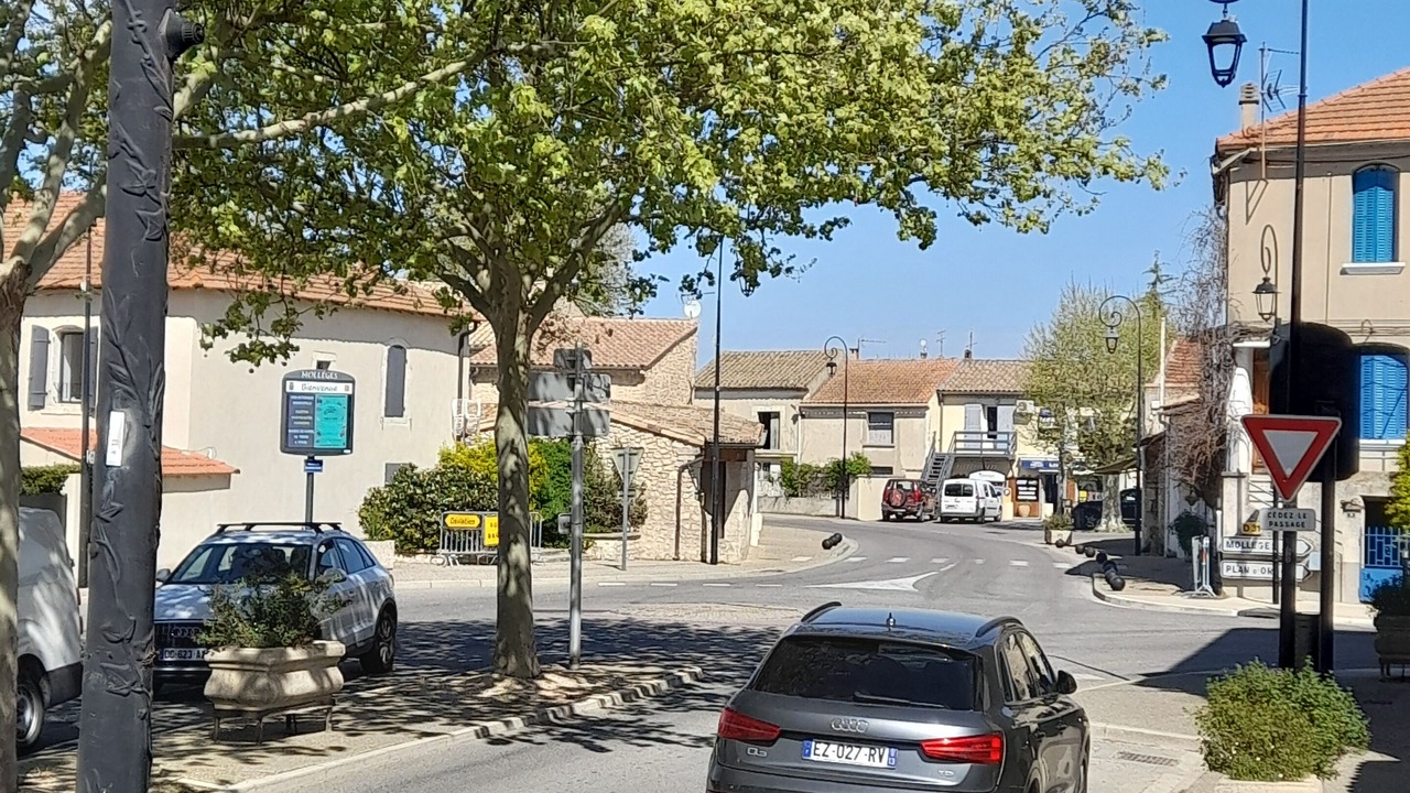 Photo of Others in Molleges