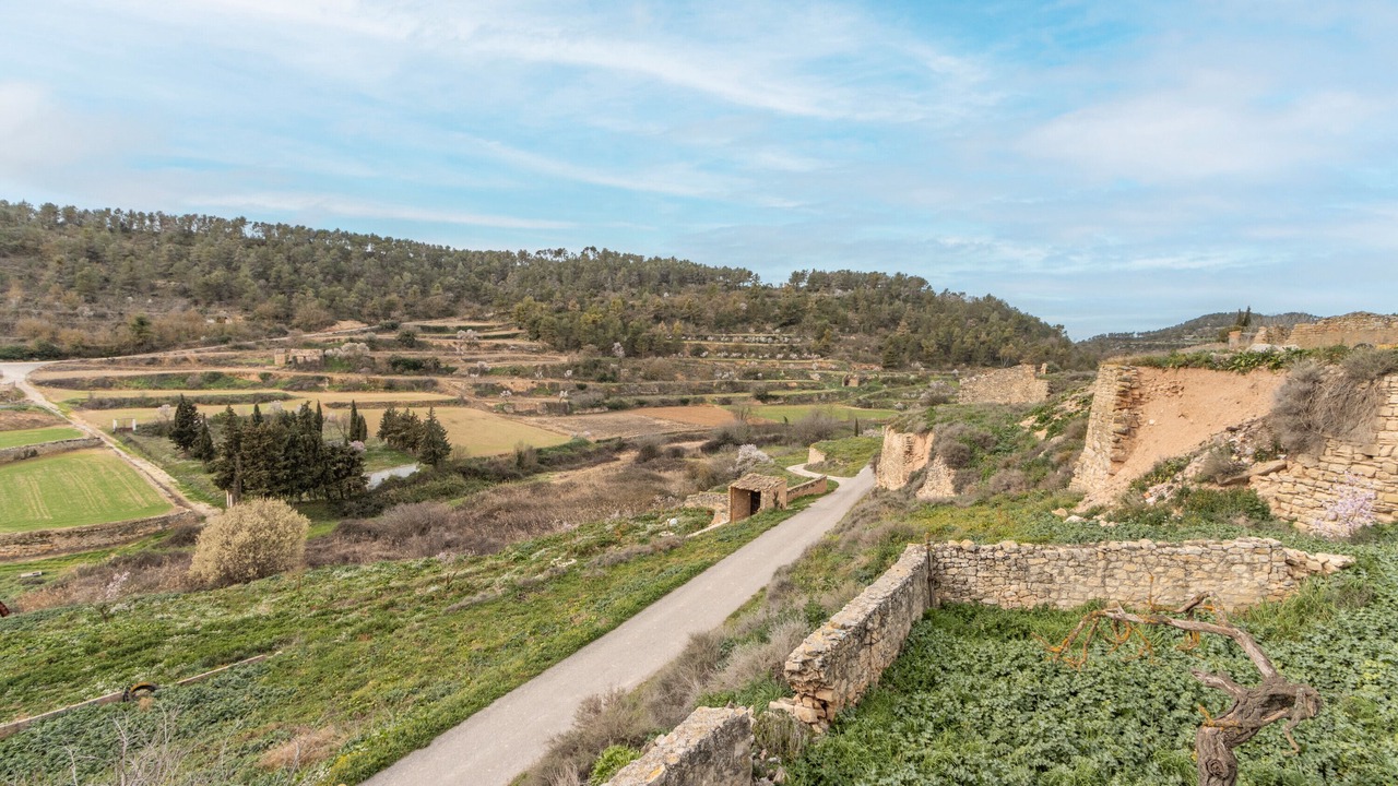 Photo of Others in Els Omells De Na Gaia
