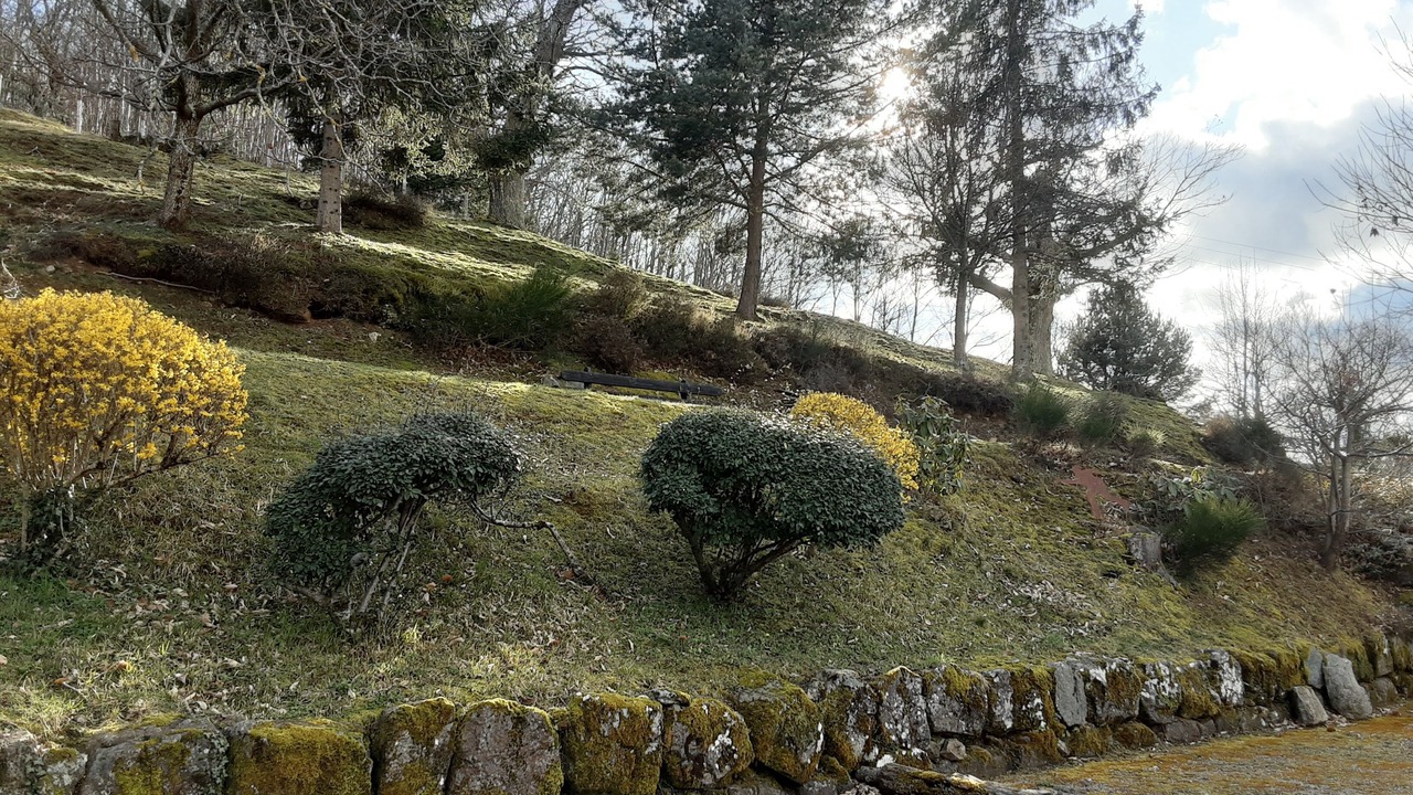 Photo of Outdoor in Saint-Julien-du-Gua
