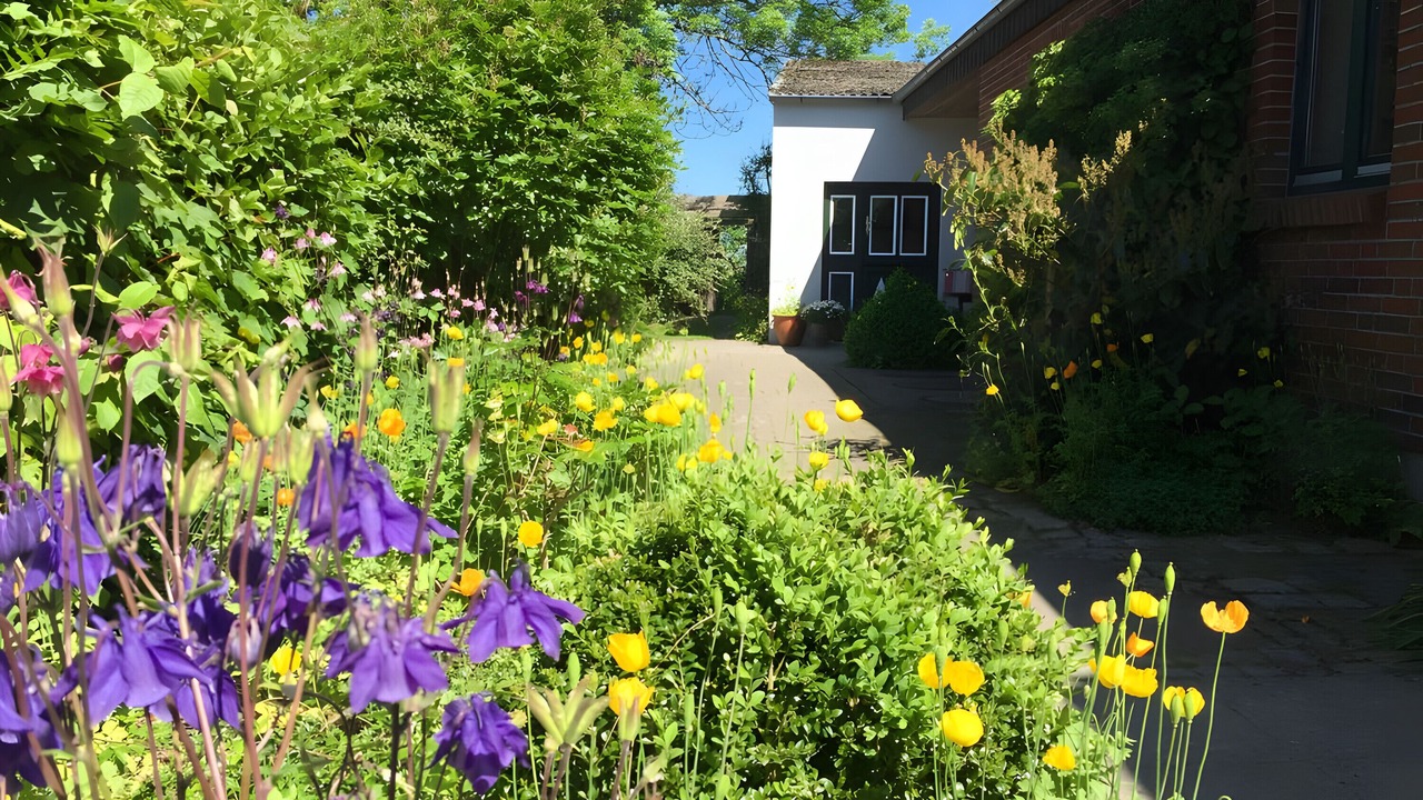 Photo of Outdoor in Oesterwurth