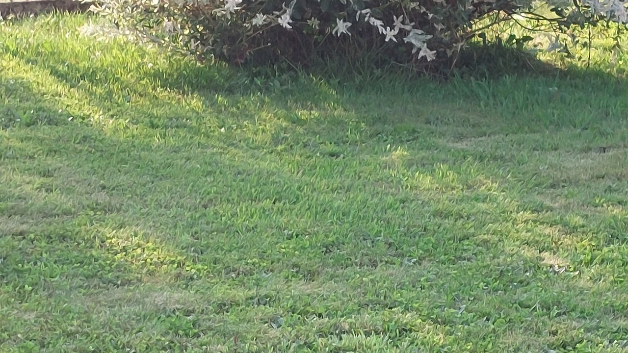 Photo of Outdoor in Lahourcade