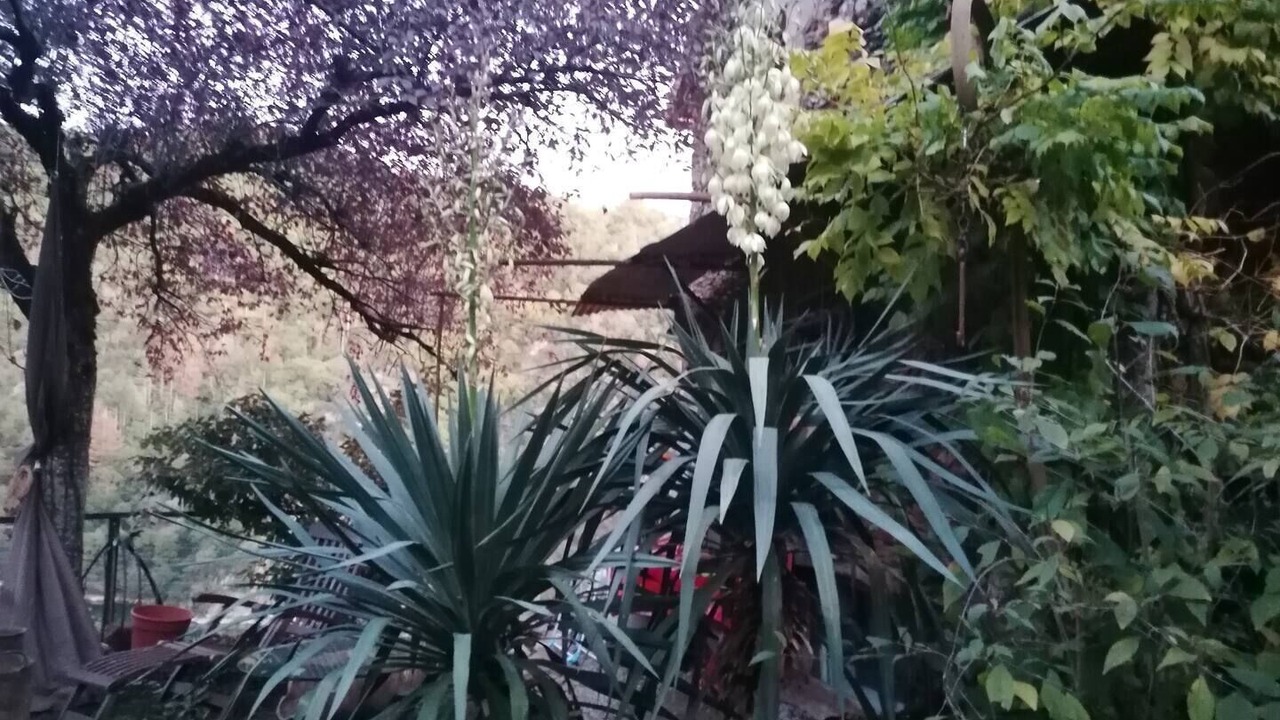 Photo of Outdoor in Broquies